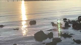 @trinamason beautiful videography asmr calm waves sunset Bellingham Washington beach shoreline ocean