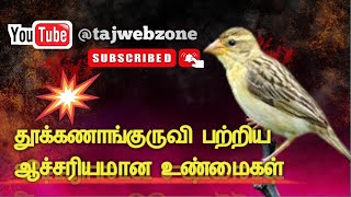 தூக்கணாங்குருவி பற்றிய ஆச்சரியமான உண்மைகள் #birds