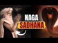 🔴IN 7 DAYS | EXPERIENCE NAGAS GRACE THROUGH THIS INTENSE SADHNA