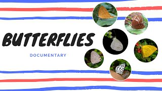 Butterflies (പൂമ്പാറ്റകൾ ) documentary #butterflies of kerala #malayalam