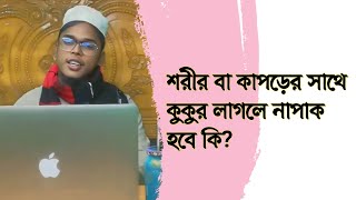 শরীর বা কাপড়ের সাথে কুকুর লাগলে নাপাক হবে কি?