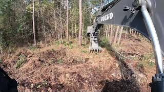 Clearing A Path To The New Pond Site