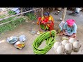 vegetables Egg Curry and jute leaves recipe cooking and eating by our santali tribe grandmaa