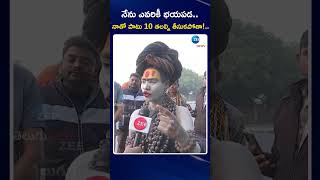 Lady Aghori Exclusive Interview | Naga Sadhu | నేను ఎవరికీ భయపడ.. నాతో పాటు 10 తలల్ని తీసుకపోతా!|Zee