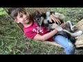 girl adopted baby wolf rejected by mother and raised him like a dog in home