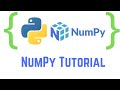 NumPy Tutorial: Your First Steps Into Python Data Science