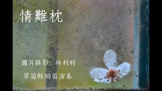 情難枕 (陶笛演奏)