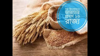 ভারতের প্রথম ১০ গম উৎপাদন রাজ্য | Indian wheat || #indian #quiz #wheat #2024 #video #subscribe