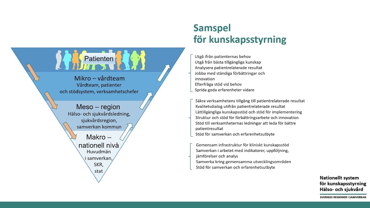 Nationellt System Kunskapsstyrning Halso Och Sjukvard Presentation Tal ...