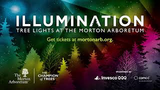 Illumination: Tree Lights at The Morton Arboretum | 11th Annual Edition, 2023