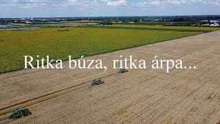 Ritka búza, ritka árpa …