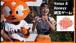 20240529　東京ドーム　ビジター応援　「SoftBank  Horks Honeys」　(5)　Venus \u0026 Honeys　剣玉ゲーム