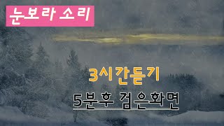 snow wind, 눈보라 asmr 너무 더울땐 겨울바람 생각하면서 자자 winter storm 3시간짜리  5분뒤 검은화면,