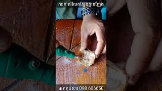 ស្នែងក្ដាន់ញែង