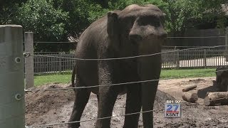 Topeka Zoo master plan