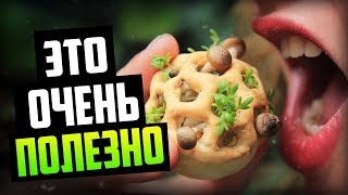 Самые Полезные Продукты Питания (Мы Этого Не Замечаем!)