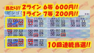 【BINGO５】 ★当たり! 10回連続!! 第335回2023年9月20日分結果と、第336回2023年9月27日分予想