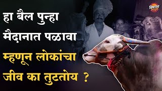 विनोद काकांचा दबंग पुन्हा मैदानात पळावा म्हणून चाहते देवाला साकडं का घालतायत | Ddabang Bail Story