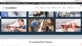 WordPress Theme Install and Setup