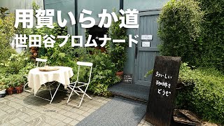 風に吹かれて街歩き　世田谷区用賀いらか道