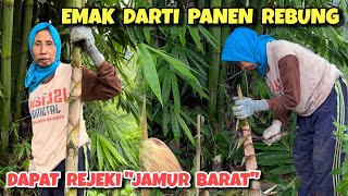 Emak Darti panen rebung bambu ‼️ Dapat jamur barat langka