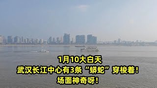 1月10大白天，武汉长江中心有3条“蟒蛇”穿梭着！场面神奇呀！