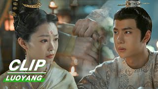 Clip: Liu Is Baili's Supporting System | LUOYANG EP35 | 风起洛阳 | iQiyi