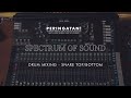 Spectrum Of Sound - Basic of snare | Allen & Heath SQ