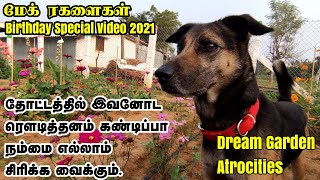 மேக் ரகளைகள் | கனவுத் தோட்டம் ரகளைகள் | Dream Garden Atrocities | Funny pet videos in Tamil