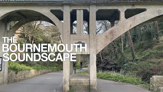 Boscombe Chine - Under the Foot Path (spatial)