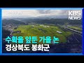 수확을 앞둔 가을 논 [뉴스광장 영상] / KBS  2024.09.23.