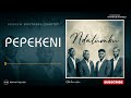 Pepekeni _-_ Hebrew Brothers Quartet (Visualization) 