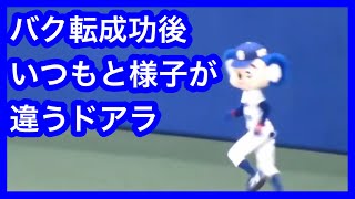 クミン　クローブ　カルダモンからバク転成功も柳裕也投手が続投の為リリーフ投手の登場曲が無くいつもと様子が違うドアラ　中日ドラゴンズVS読売ジャイアンツ　2021.9.28