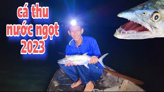 Cá Thu Nước Ngọt , Cá Này Giờ Khó Bắt Lắm | #66TV #fishing