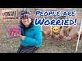 My Experience with Tractor Supply Chicken Feed