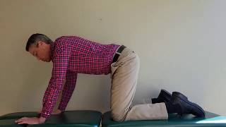 Knee Flexion - Quadruped to Kneeling