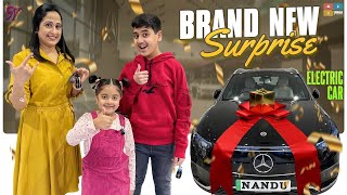 Petrol తో పని లేని కారు || Brand new car surprise ||Nandu's World || New car vlog || Telugu Vlog