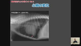 ジェネラリストへの道　実践！臨床総合セミナー 【循環器編】堀 泰智先生の「初歩から学ぶ / 学び直す循環器学」 トピック 4 胸部X線検査のポイントと注意点