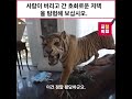 사람이 버리고 간 호화로운 저택을 탐험해 보십시오.