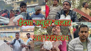 ईदगा कबूतर बाजार Edgha kabootar market 26/12/2024