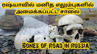 ரஷ்யாவில் மனித எலும்புகளில் அமைக்கப்பட்ட சாலை | bones of road in russia | strange vintage |