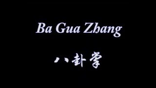 武當八卦掌 (钟学勇) - Wudang Baguazhang (Zhong Xueyong)