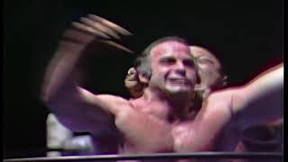 Mark Lewin vs. Professor Toru Tanaka (1980/04/11)