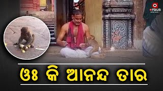 Jay Jagannath | 4-Legged Devotee Of Lord Jagannath At Puri Charms All