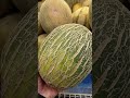 how to pick good melon shorts melon trending satisfying