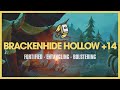 Retribution Paladin | Brackenhide Hollow +14 Fortified | Dragonflight Mythic S4