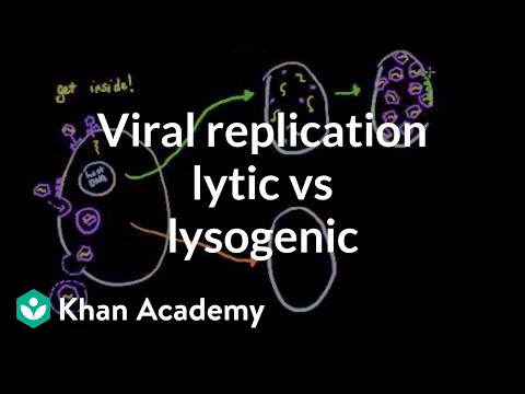 What is an example of a lytic virus?