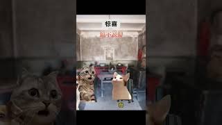 当我偷偷回家给妈妈惊喜 11.2  #喵不可言 #猫meme #猫meme小剧场 #shorts