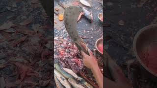 AMAZING FISH CUTTING SKILLS  123