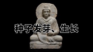 第六百二十七章 种子发芽、生长。完全读懂巴利文大藏经（627）